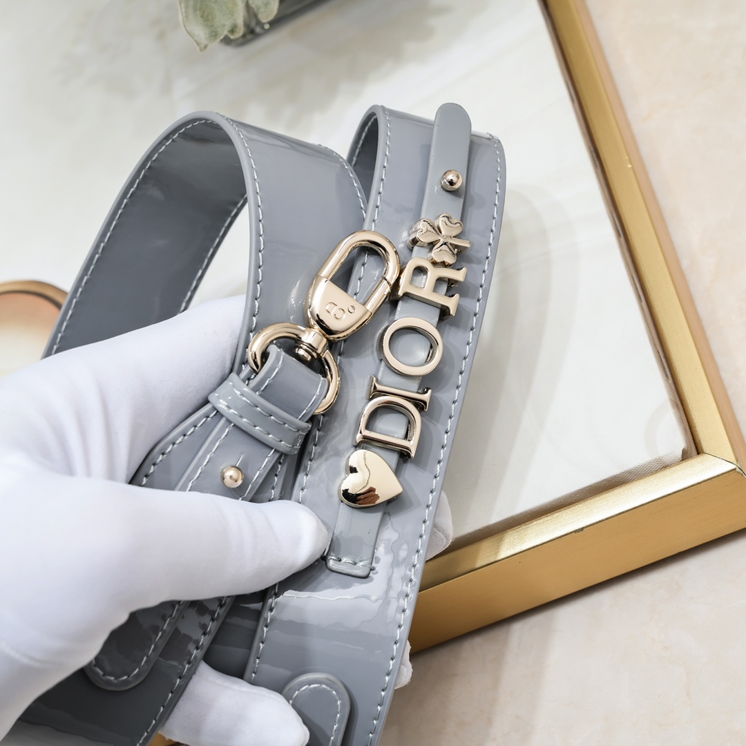 D Inspired Small Lady D Inspired Bag Powder Grey Patent Cannage Calfskin Golden Hardware - Bag - Gorchic - $144.99