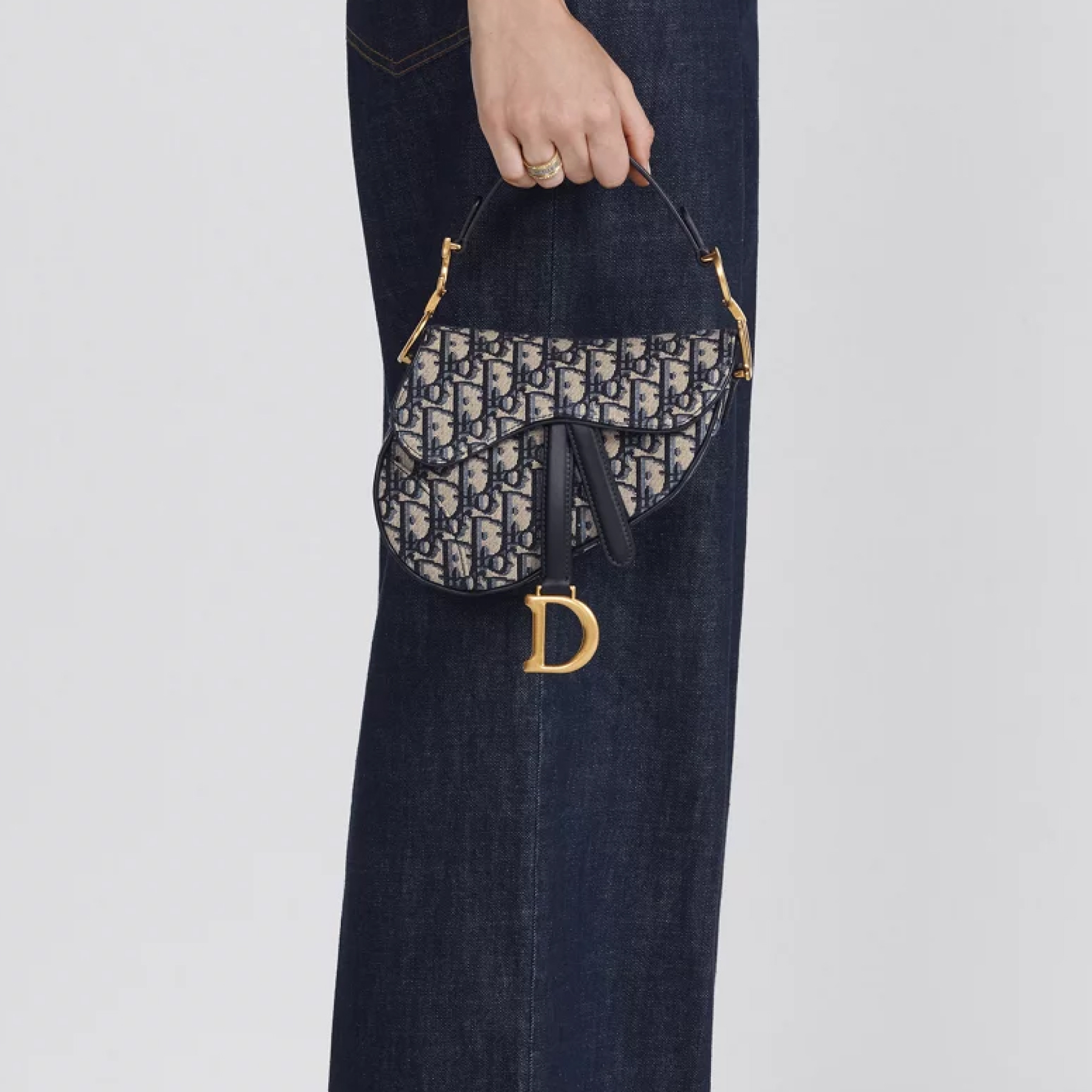 D Inspired Saddle Handbag Oblique Jacquard Bag - Gorchic - $138.99