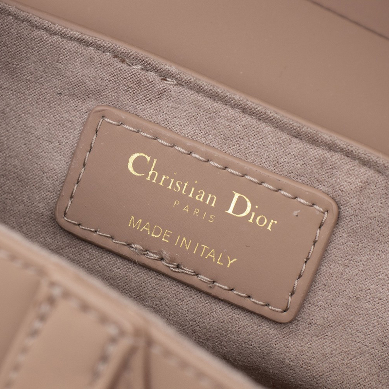 D Inspired SADDLE Bag Pink Ultramatte Calfskin - Bag - Gorchic - $138.99