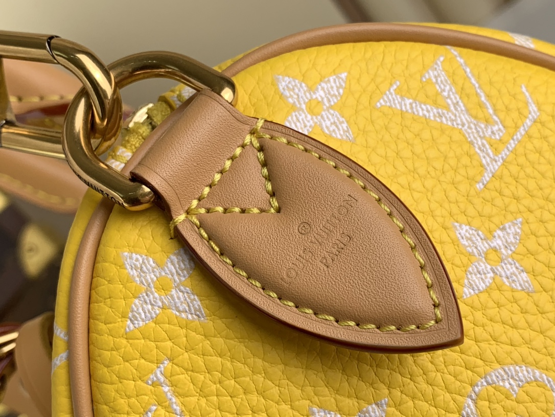 [TOP]Designer SPEEDY P9 BANDOULIERE 25 HANDBAG - Bag - Gorchic - $553.99