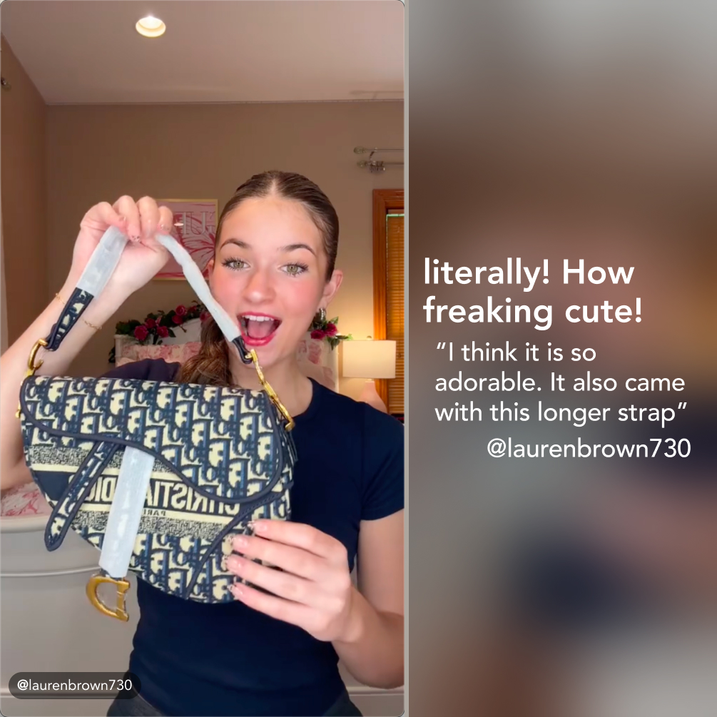 D Inspired SADDLE Bag Blue D Inspired Oblique Embroidered Veet - Bag - Gorchic - $138.99