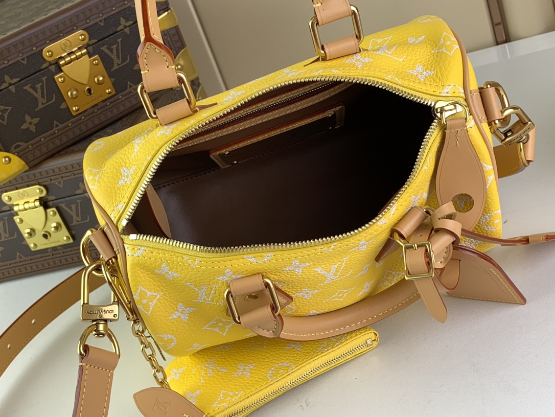 Designer Monogram SPEEDY P9 BANDOULIERE 25 HANDBAG - Bag - Gorchic - $143.99