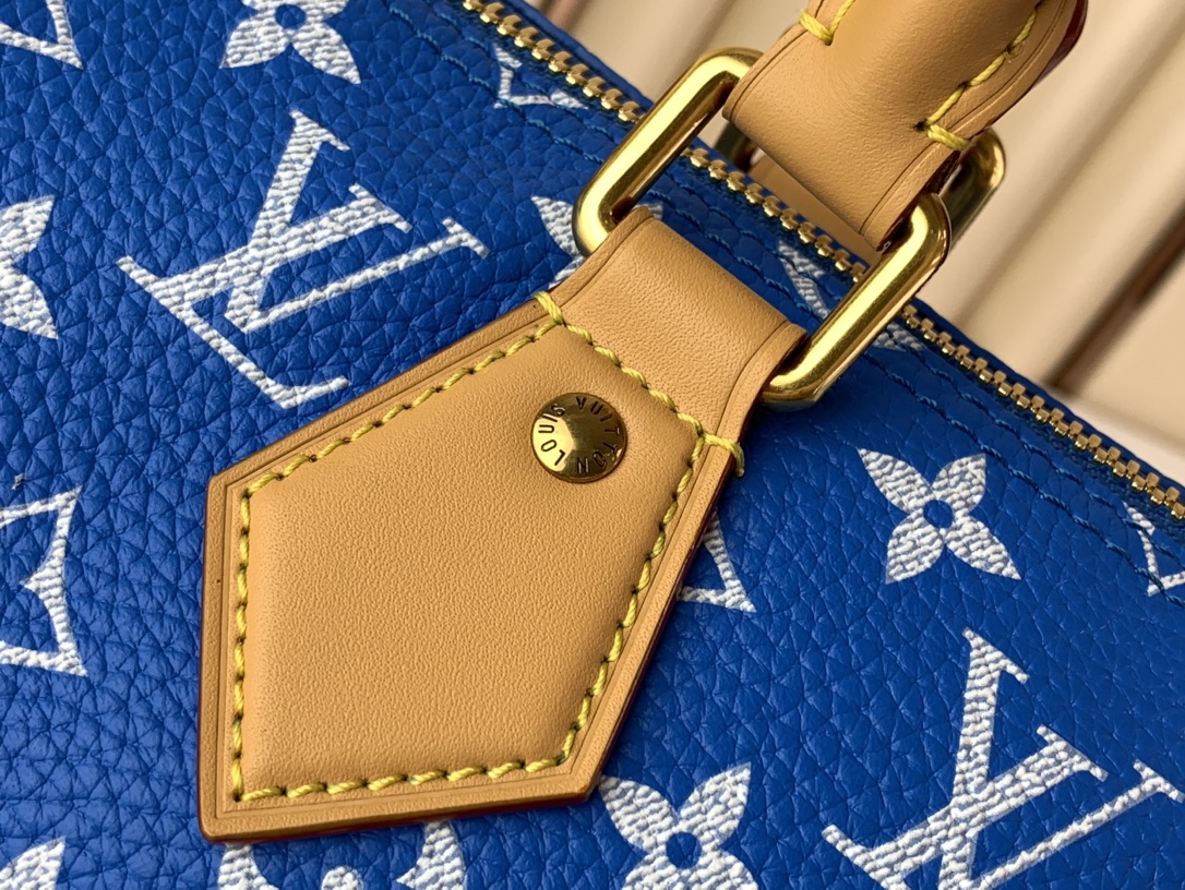 [TOP]Designer SPEEDY P9 BANDOULIERE 25 HANDBAG - Bag - Gorchic - $553.99