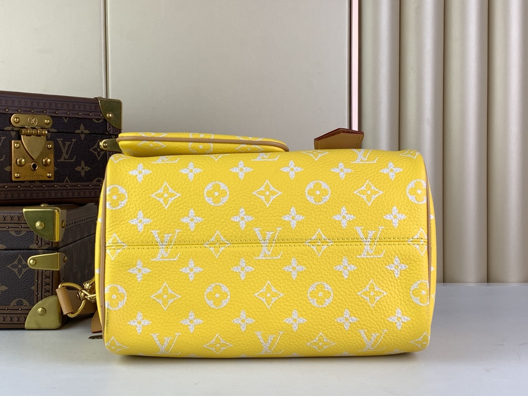 [TOP]Designer SPEEDY P9 BANDOULIERE 25 HANDBAG - Bag - Gorchic - $553.99