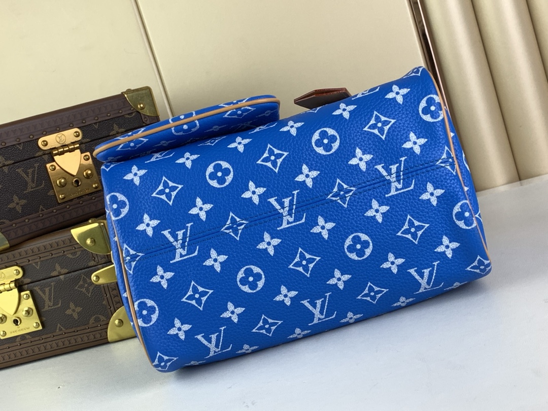 [TOP]Designer SPEEDY P9 BANDOULIERE 25 HANDBAG - Bag - Gorchic - $553.99