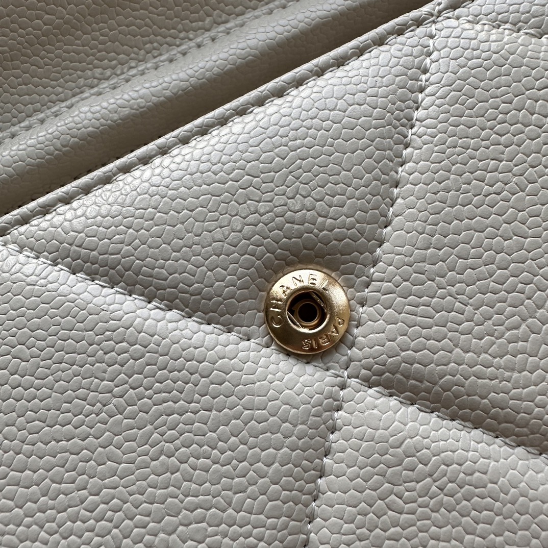 CC Inspired Chain Shoulder Crossbody Small Bag - White Fish Seed Print Bag - Gorchic - $109.99