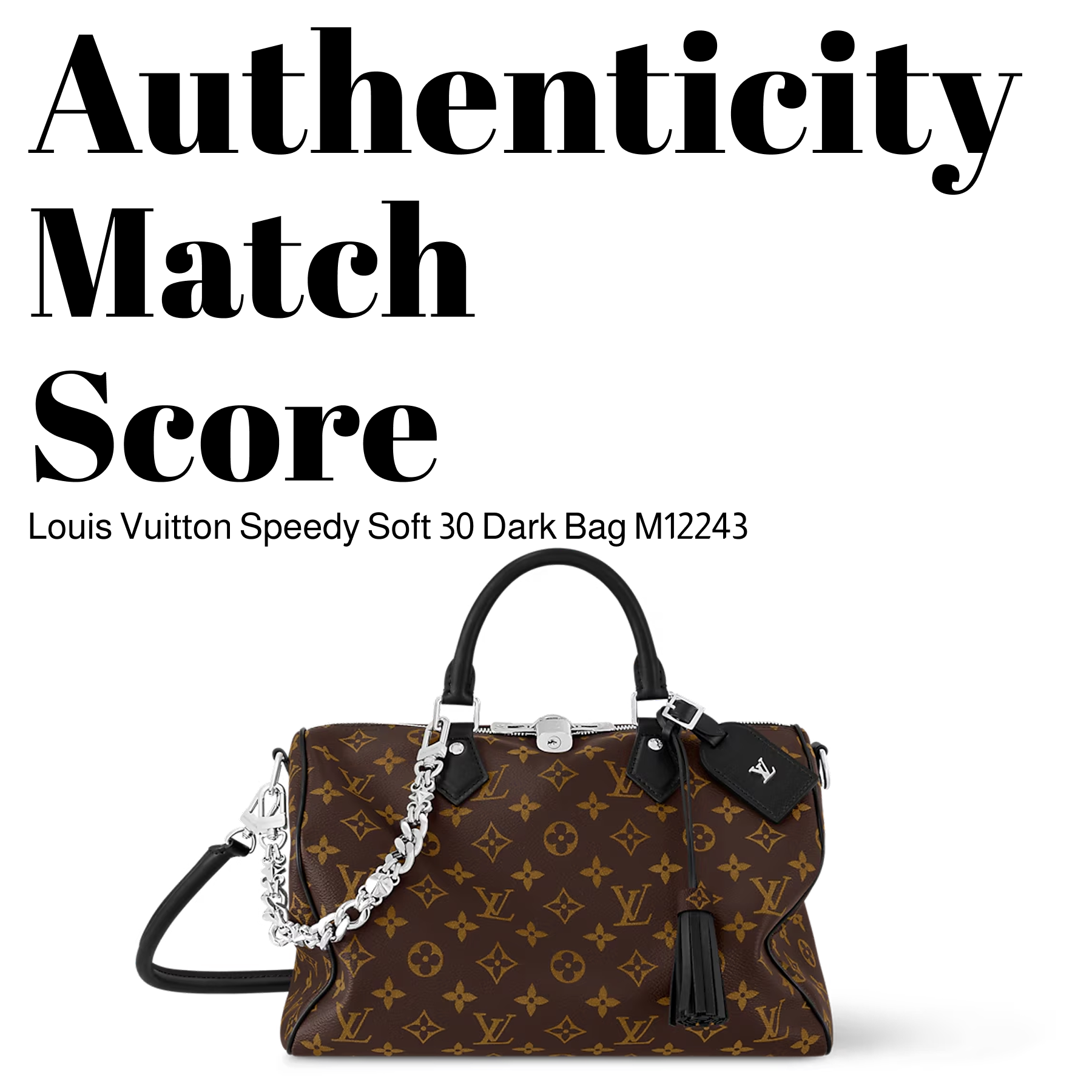 Speedy Soft 30 Dark Bag M12243 Review – Capacity, Details & Authenticity Score - Gorchic