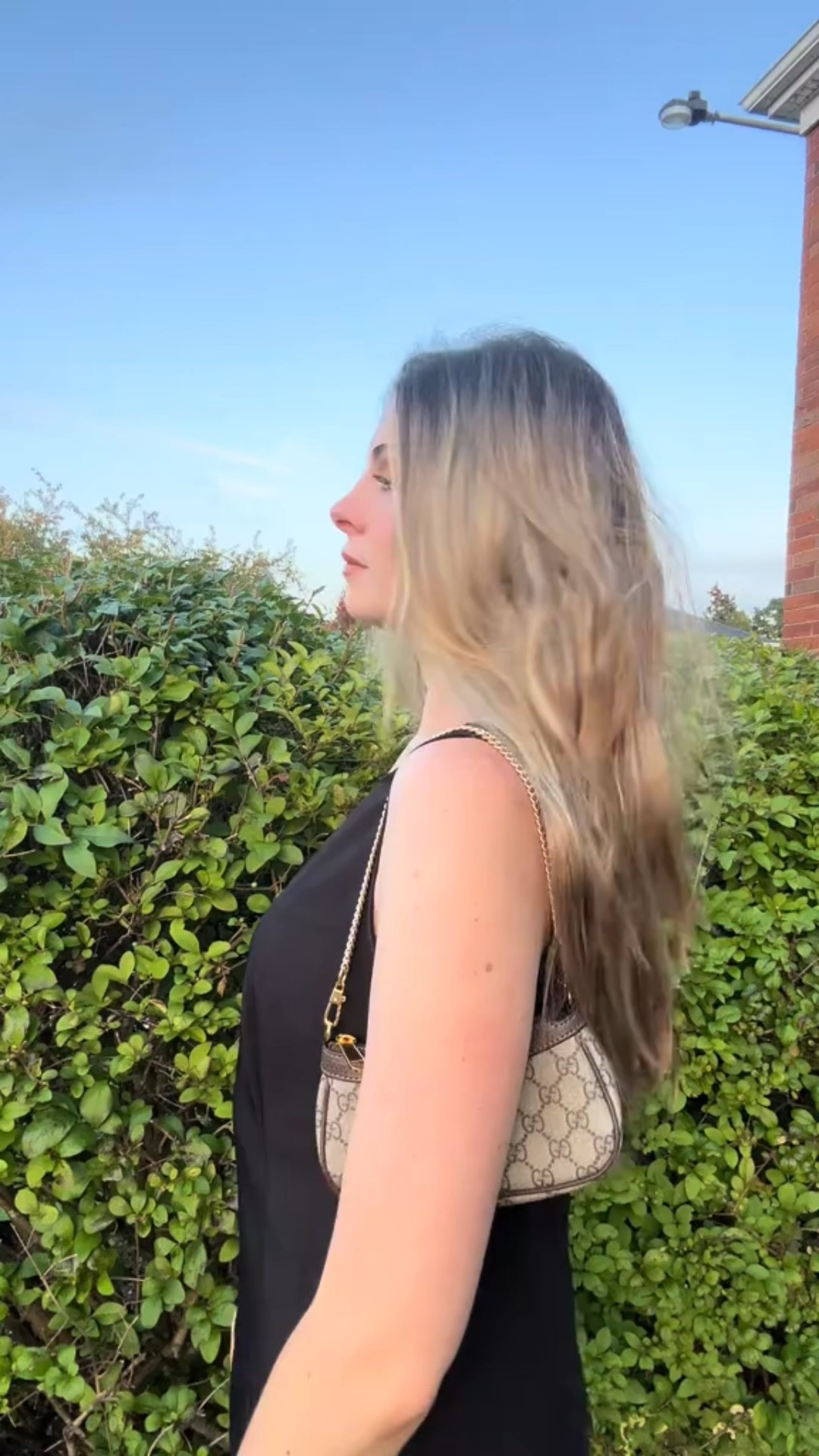 Double-G Ophidia Collection Handbag - Beige And Dark Brown Bag - Gorchic - $111.99