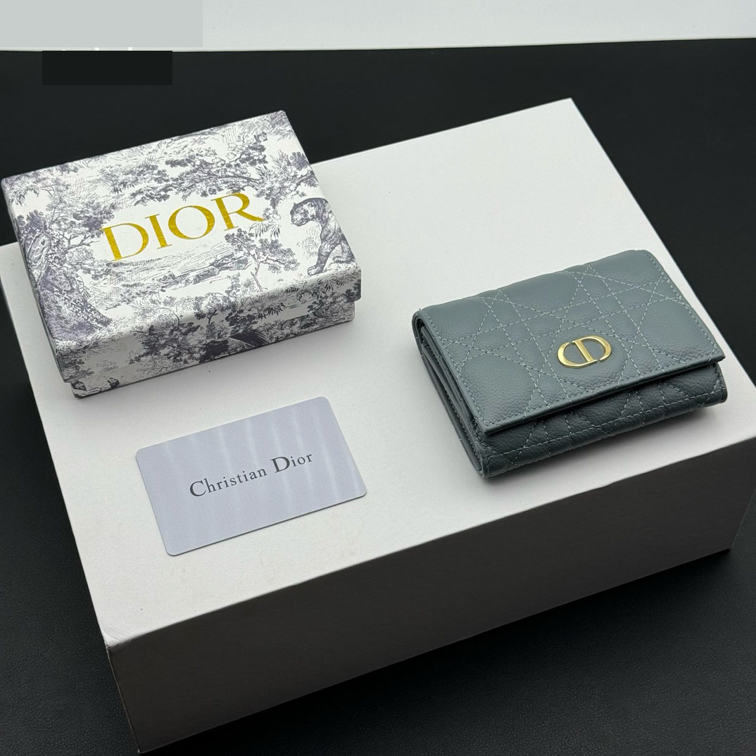 D Inspired Caro Montaigne Glycine Wallet-Haze Blue Wallet - Gorchic - $55.99